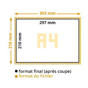 Flyers A4 Flyers A4